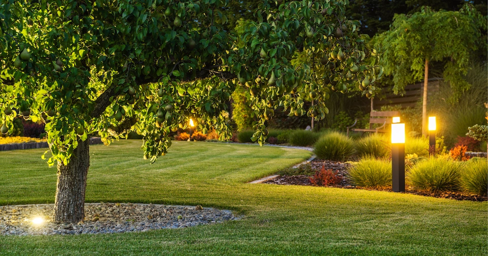 a manicured lawn thoughtfully lit by landscape lighting