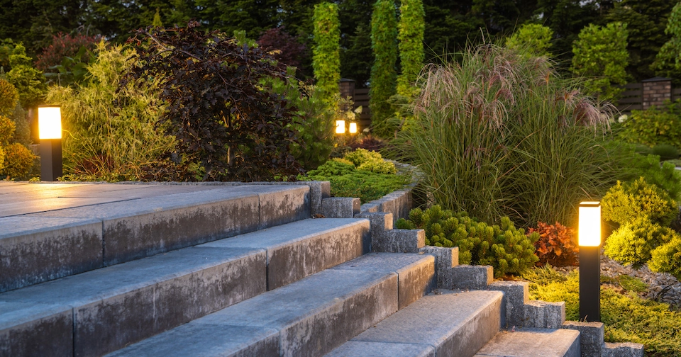 outdoor landscaping lighting lining a concrete staircase alongside lush plants