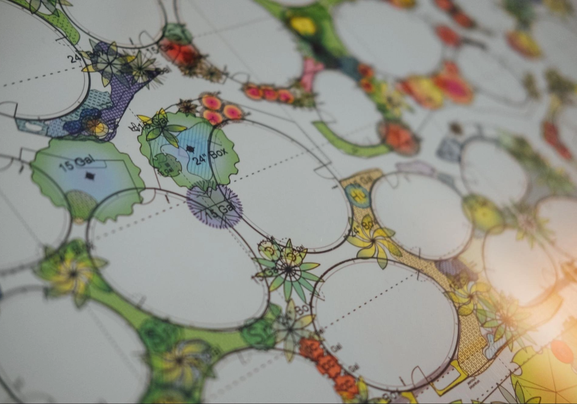 close up of landscape design drawing